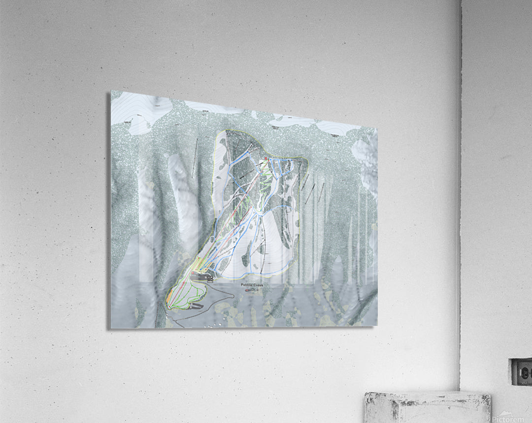 Acrylic Print