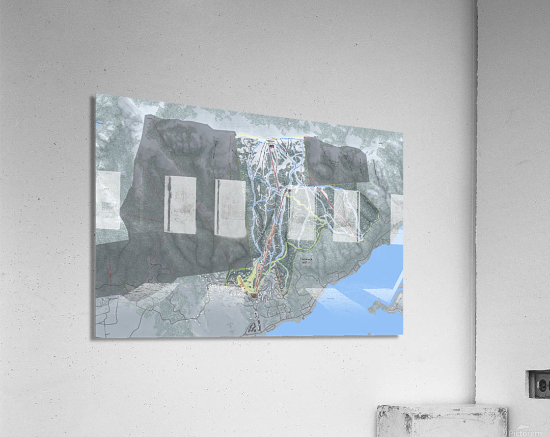 Acrylic Print
