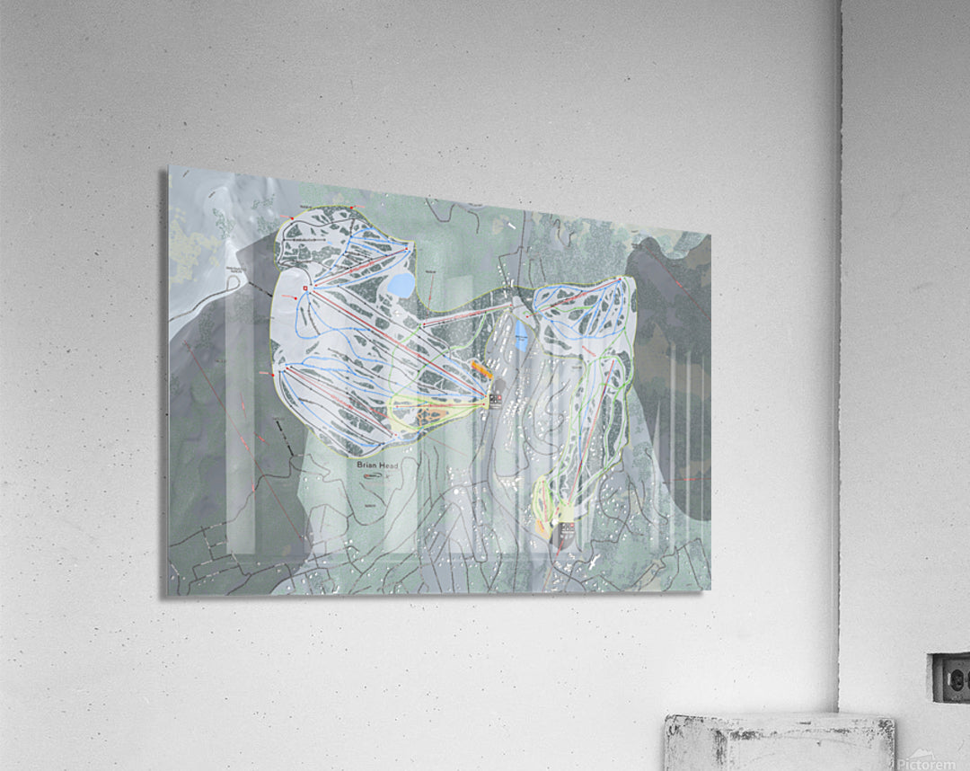 Acrylic Print