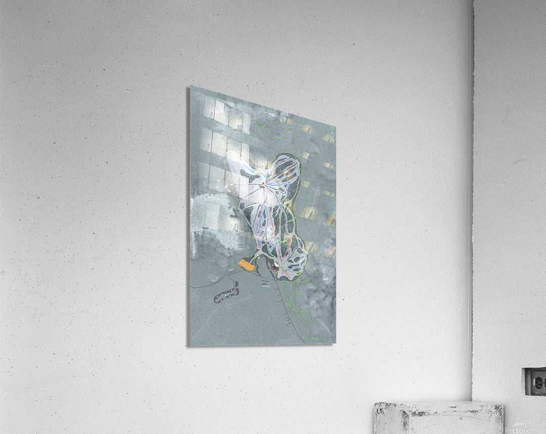 Acrylic Print