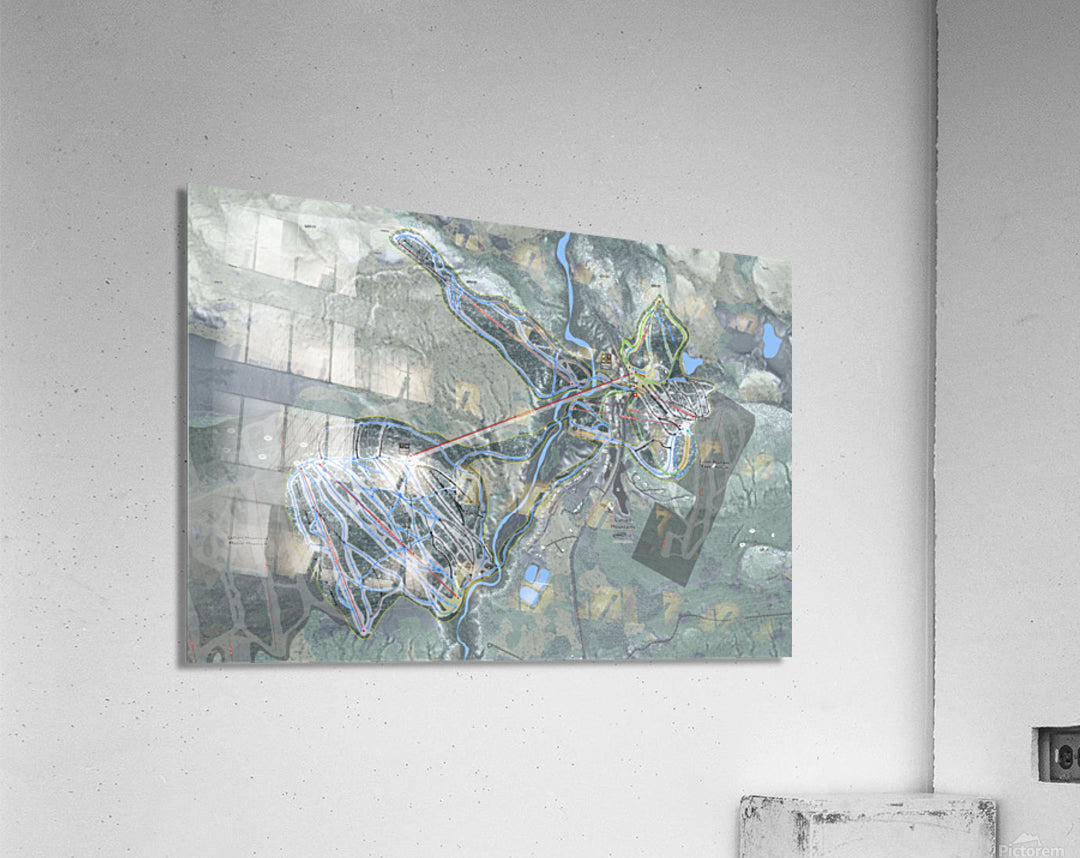 Acrylic Print