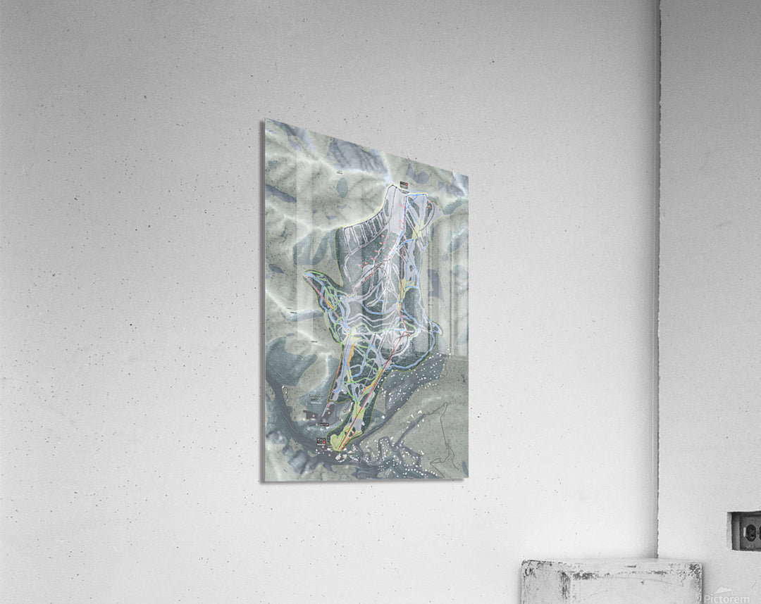 Acrylic Print
