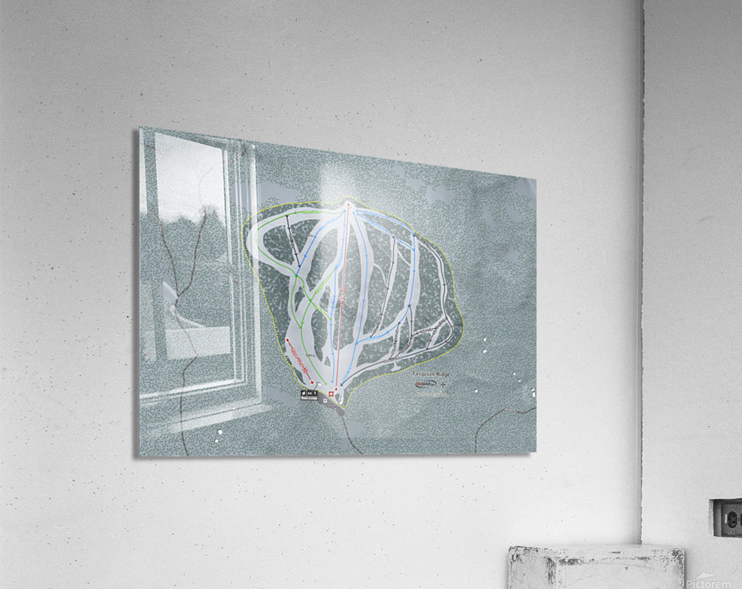 Acrylic Print