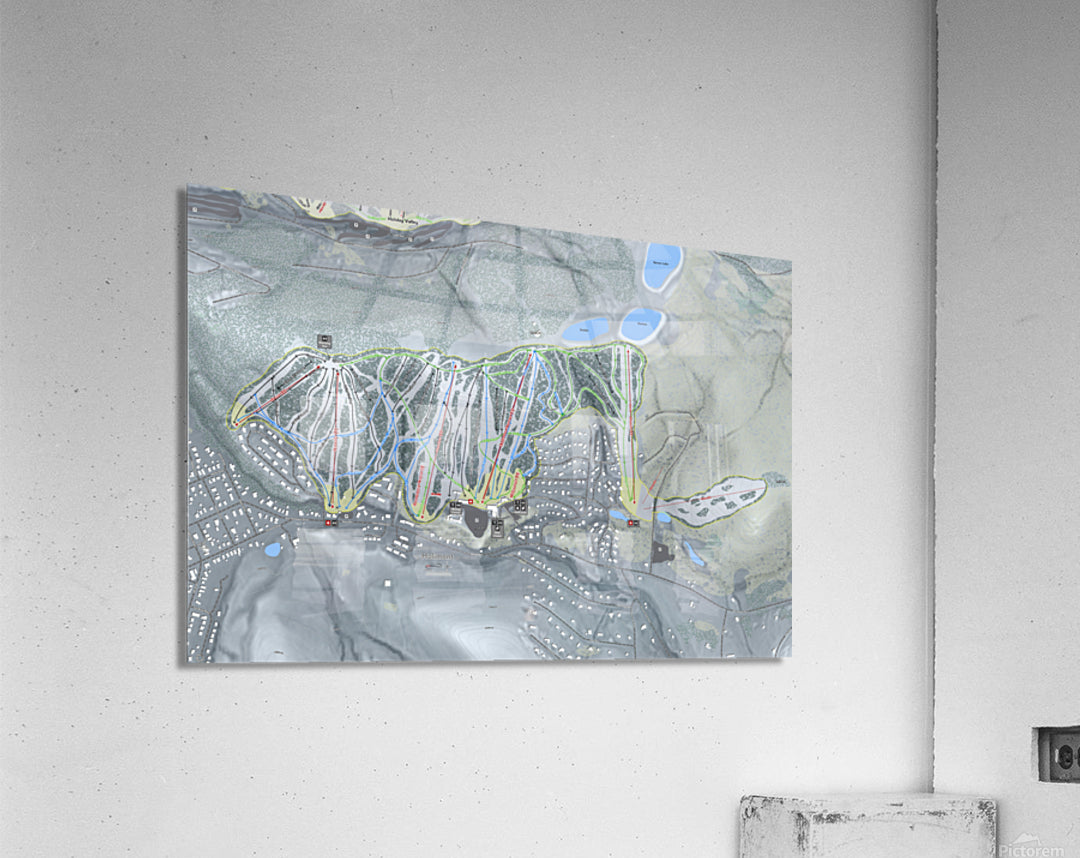 Acrylic Print