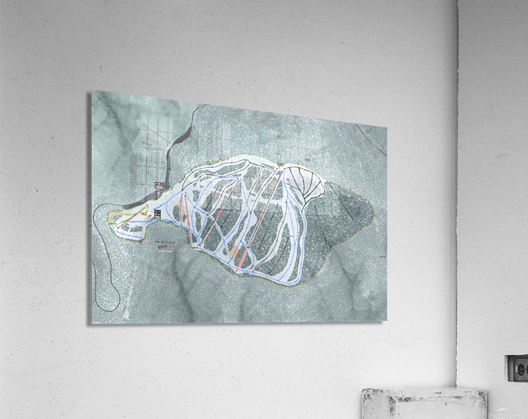 Acrylic Print
