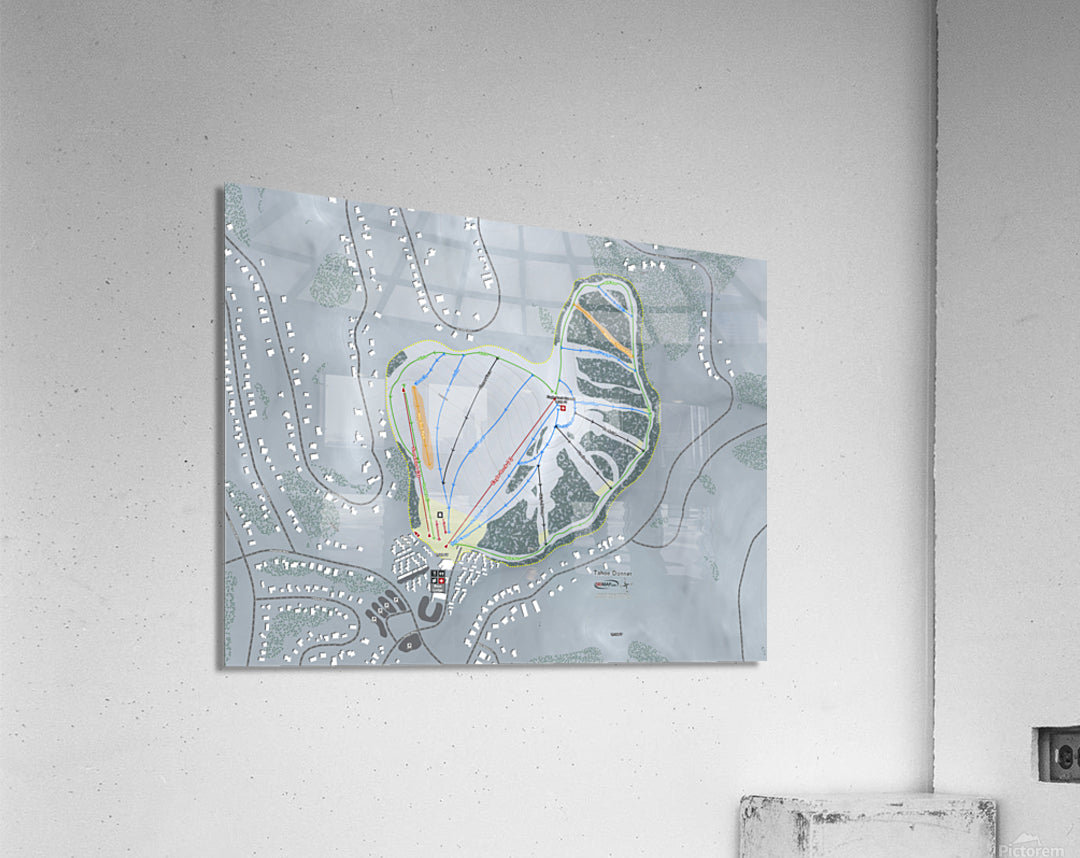 Acrylic Print