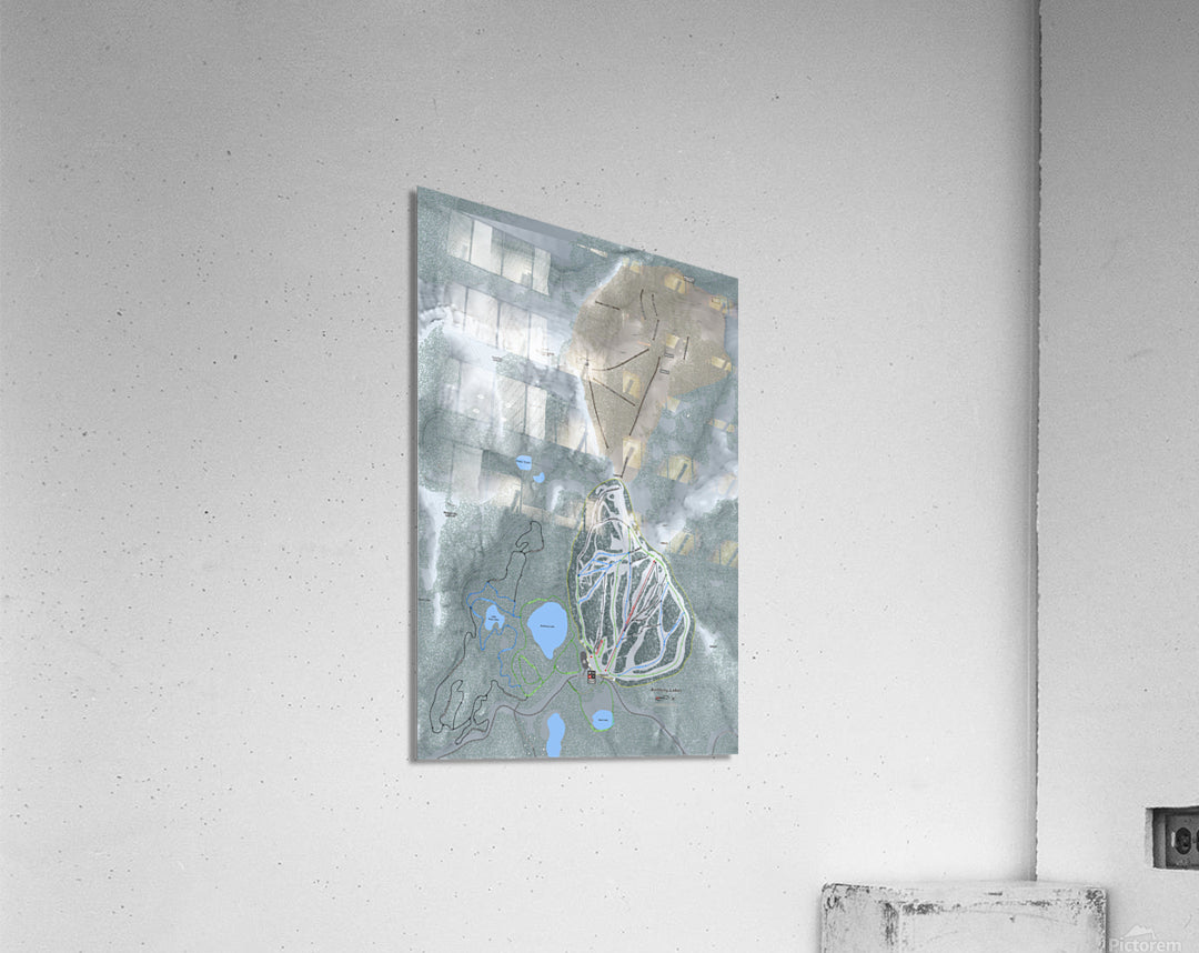 Acrylic Print