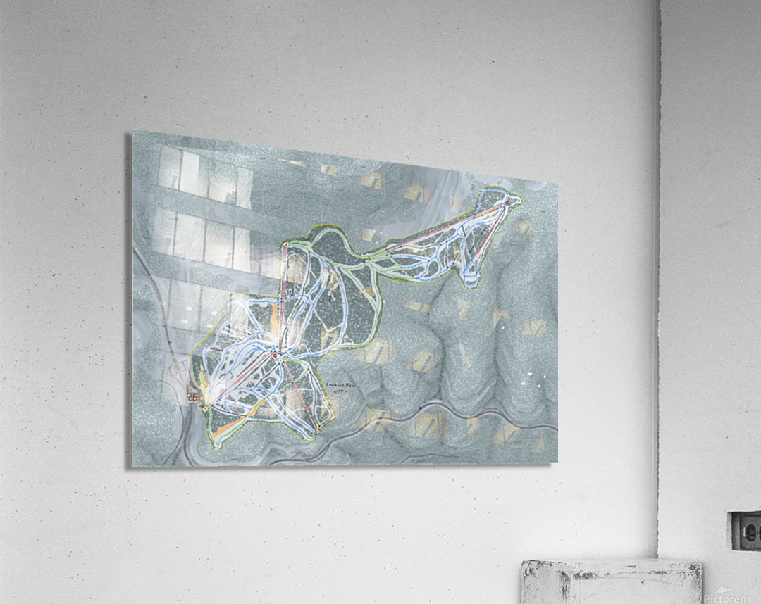 Acrylic Print