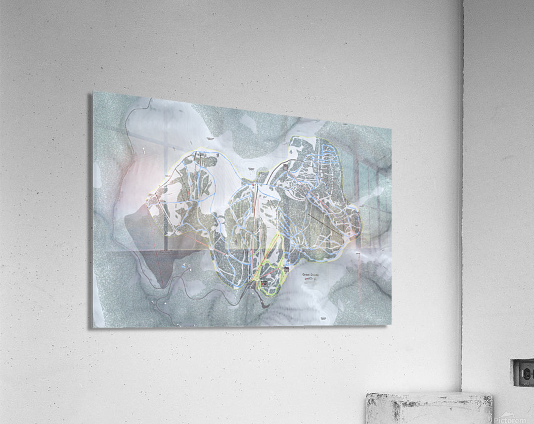 Acrylic Print