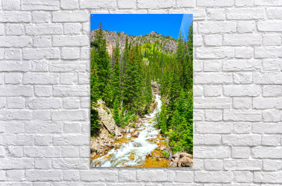 Back Country - Colorado - Powderaddicts