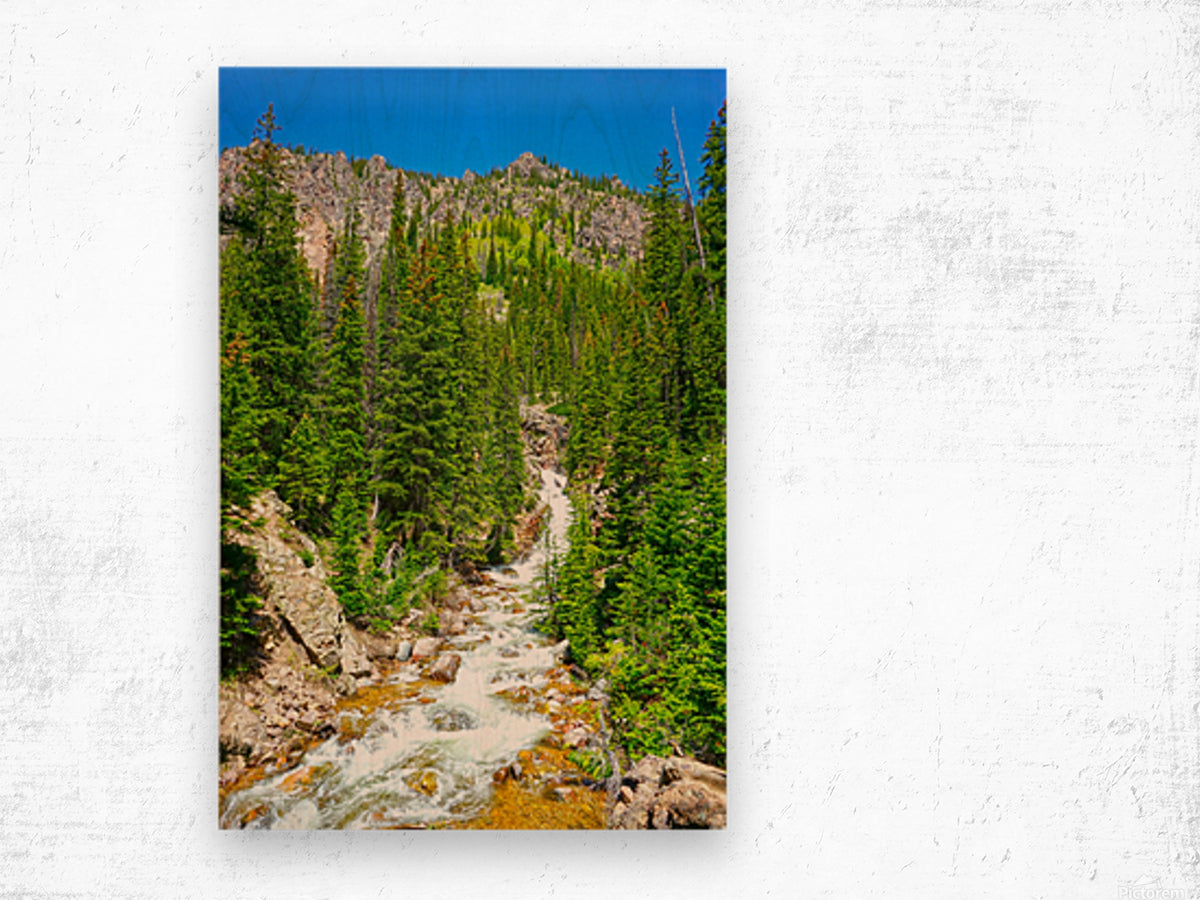 Back Country - Colorado - Powderaddicts