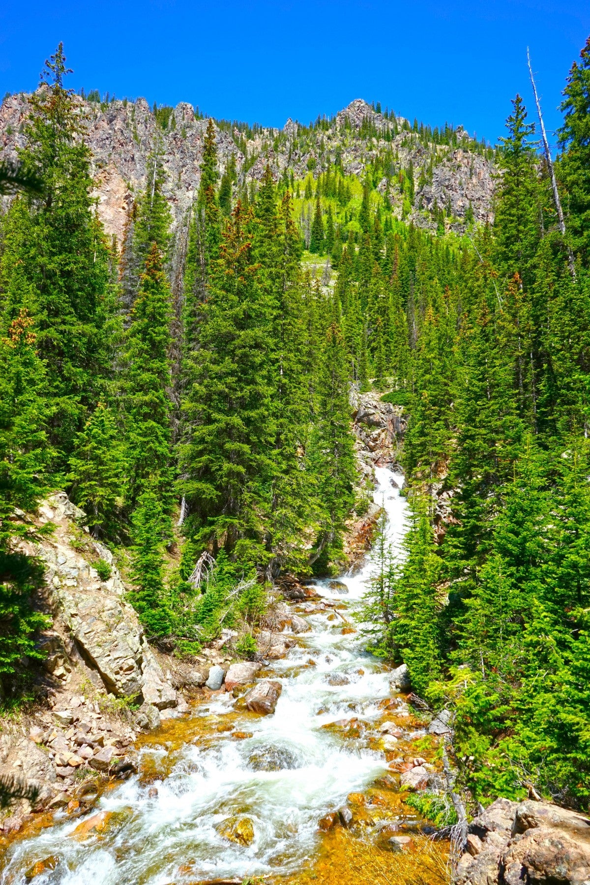 Back Country - Colorado - Powderaddicts