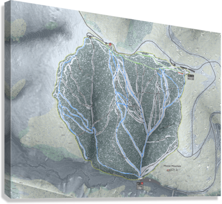 Giclée Stretched Canvas Print