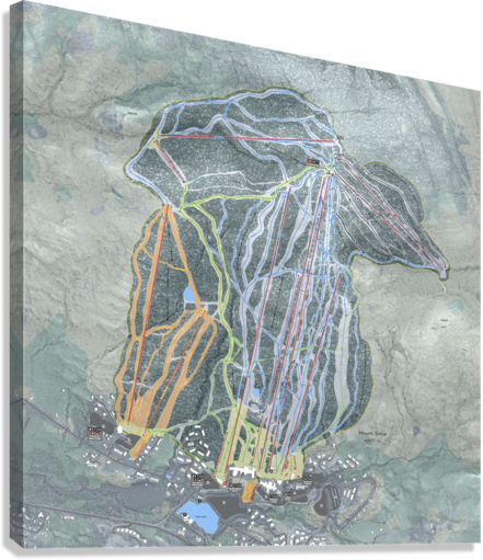 Giclée Stretched Canvas Print