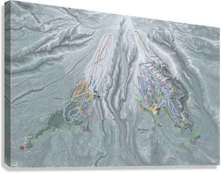 Giclée Stretched Canvas Print