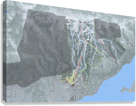 Giclée Stretched Canvas Print