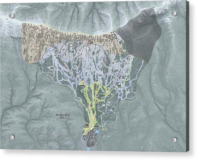 Bridger Bowl Ski Trail Map - Acrylic Print - Powderaddicts