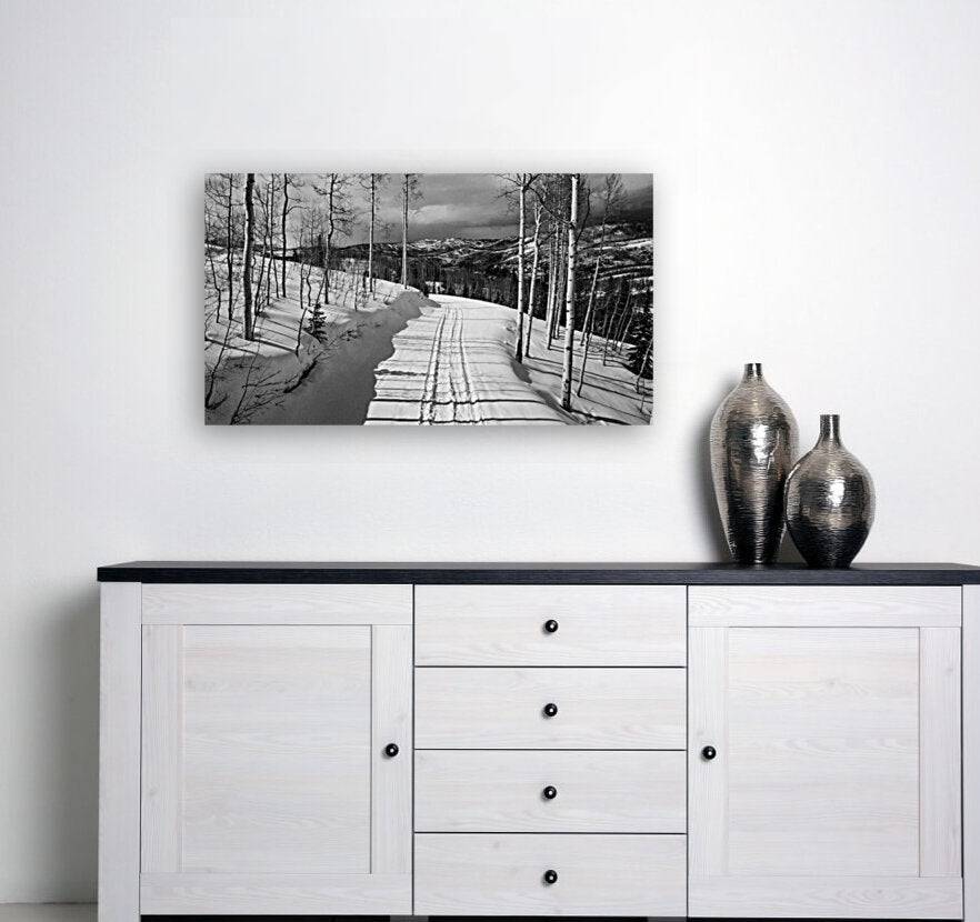 Cat Tracks BW - Powderaddicts