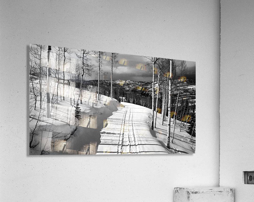 Cat Tracks BW - Powderaddicts