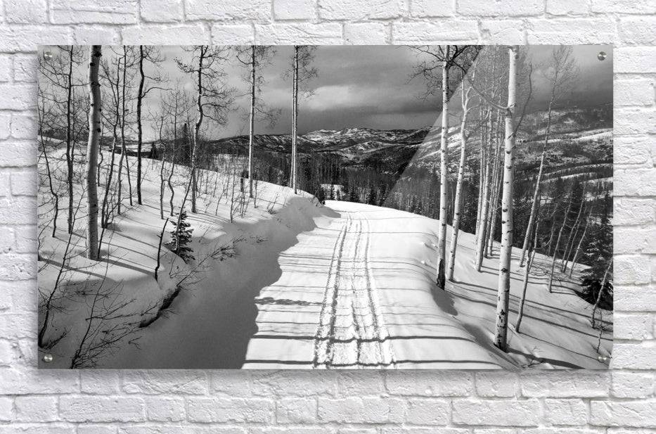 Cat Tracks BW - Powderaddicts