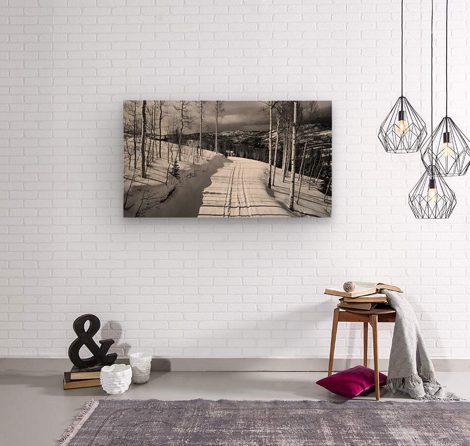 Cat Tracks BW - Powderaddicts