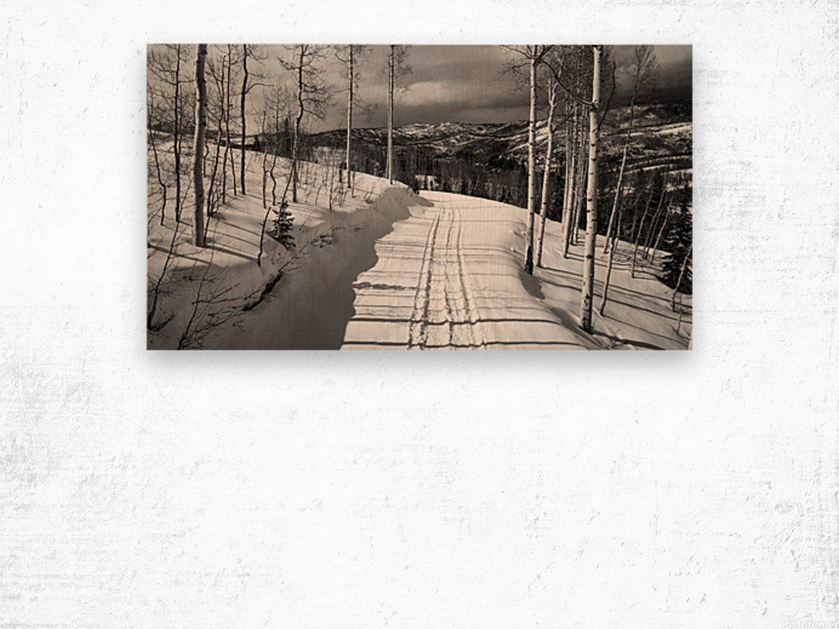 Cat Tracks BW - Powderaddicts