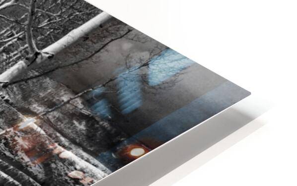 Cat Tracks BW - Powderaddicts