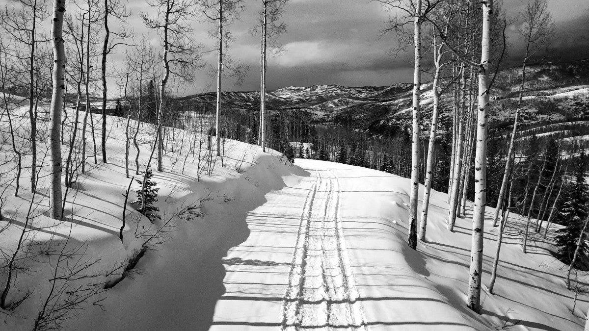 Cat Tracks BW - Powderaddicts