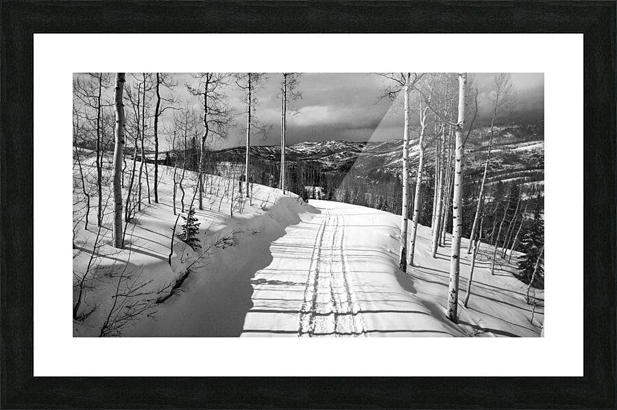 Cat Tracks BW - Powderaddicts