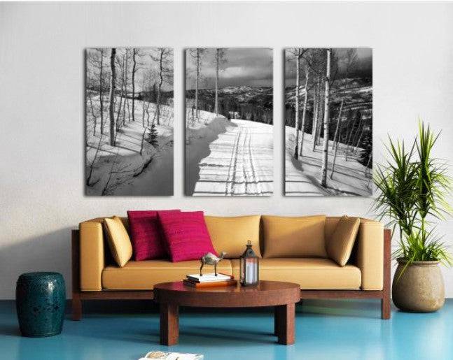 Cat Tracks BW - Powderaddicts