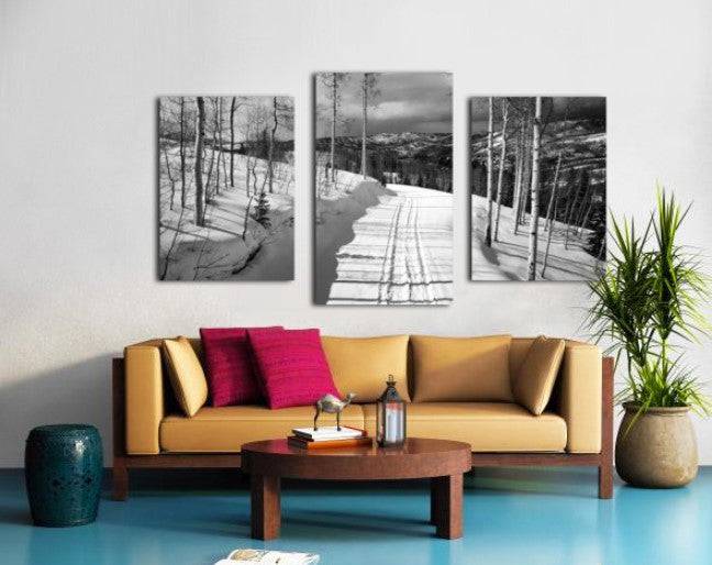 Cat Tracks BW - Powderaddicts