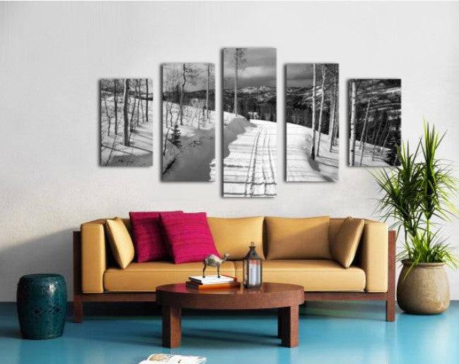 Cat Tracks BW - Powderaddicts