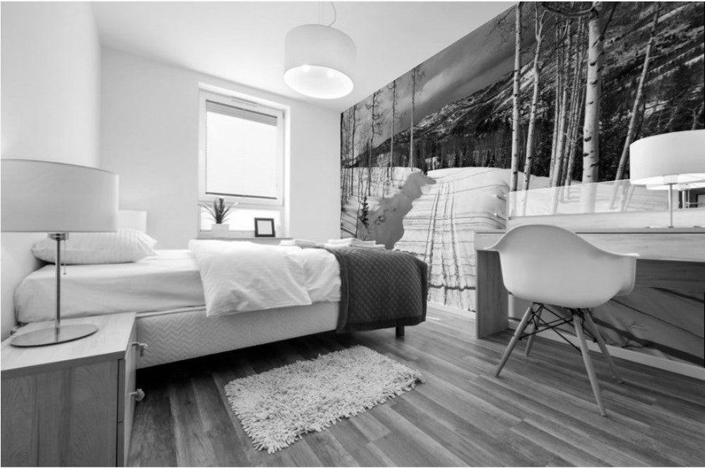 Cat Tracks BW - Powderaddicts