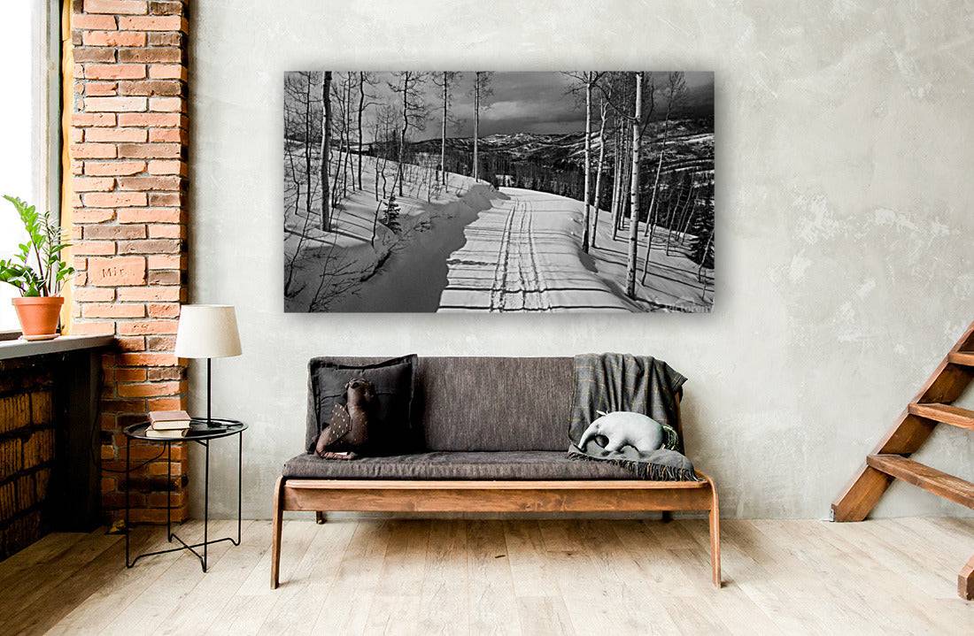 Cat Tracks BW - Powderaddicts