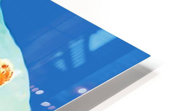 Courchevel - Powderaddicts