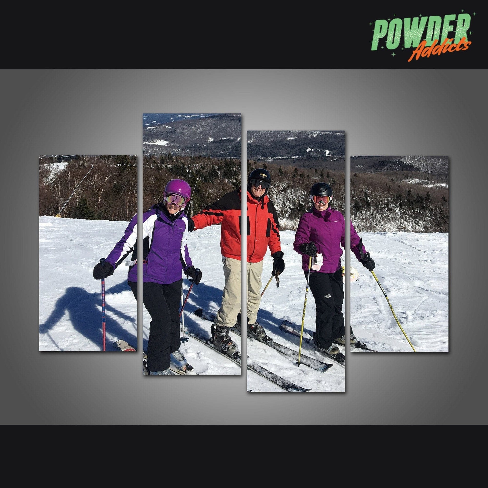 Custom Made 4 Piece Canvas - Powderaddicts