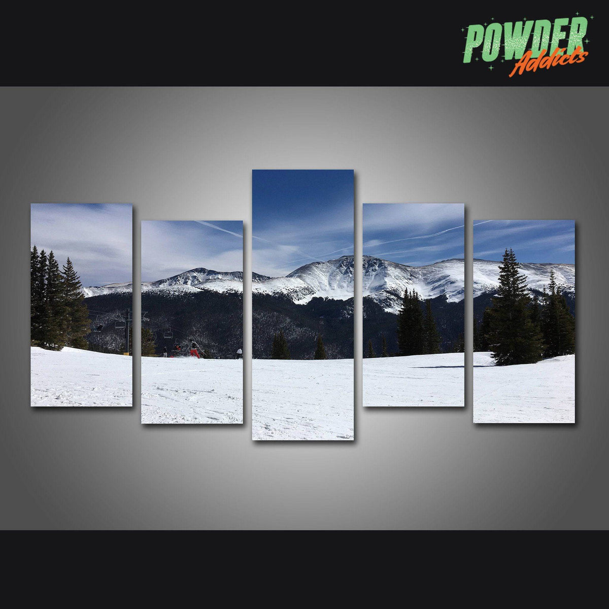CUSTOM REQUEST #4 - 5 Piece Canvas - Powderaddicts