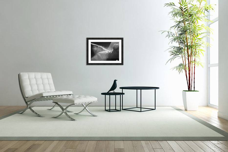 Downstream.. - Powderaddicts