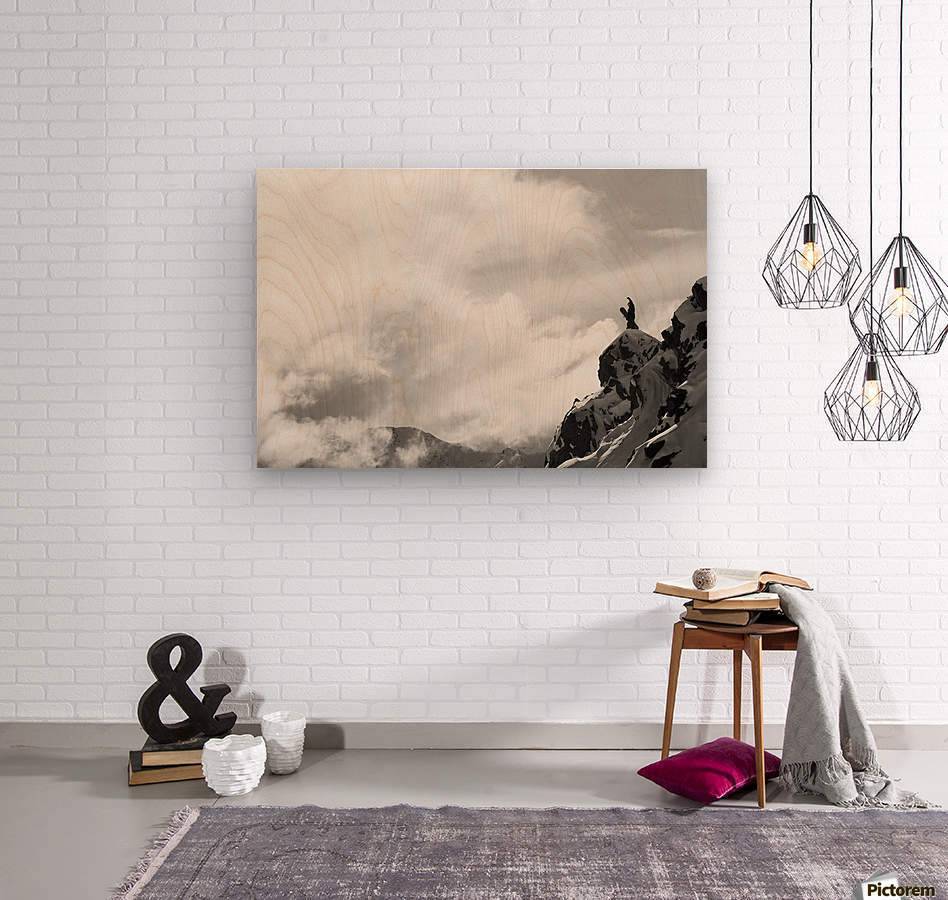 Extreme snowboarding - Powderaddicts