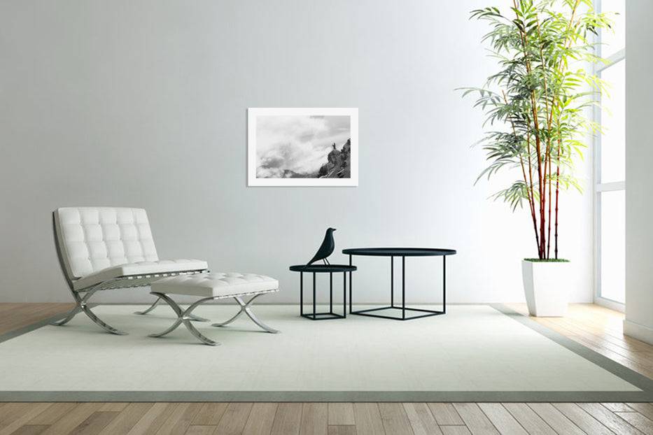 Extreme snowboarding - Powderaddicts