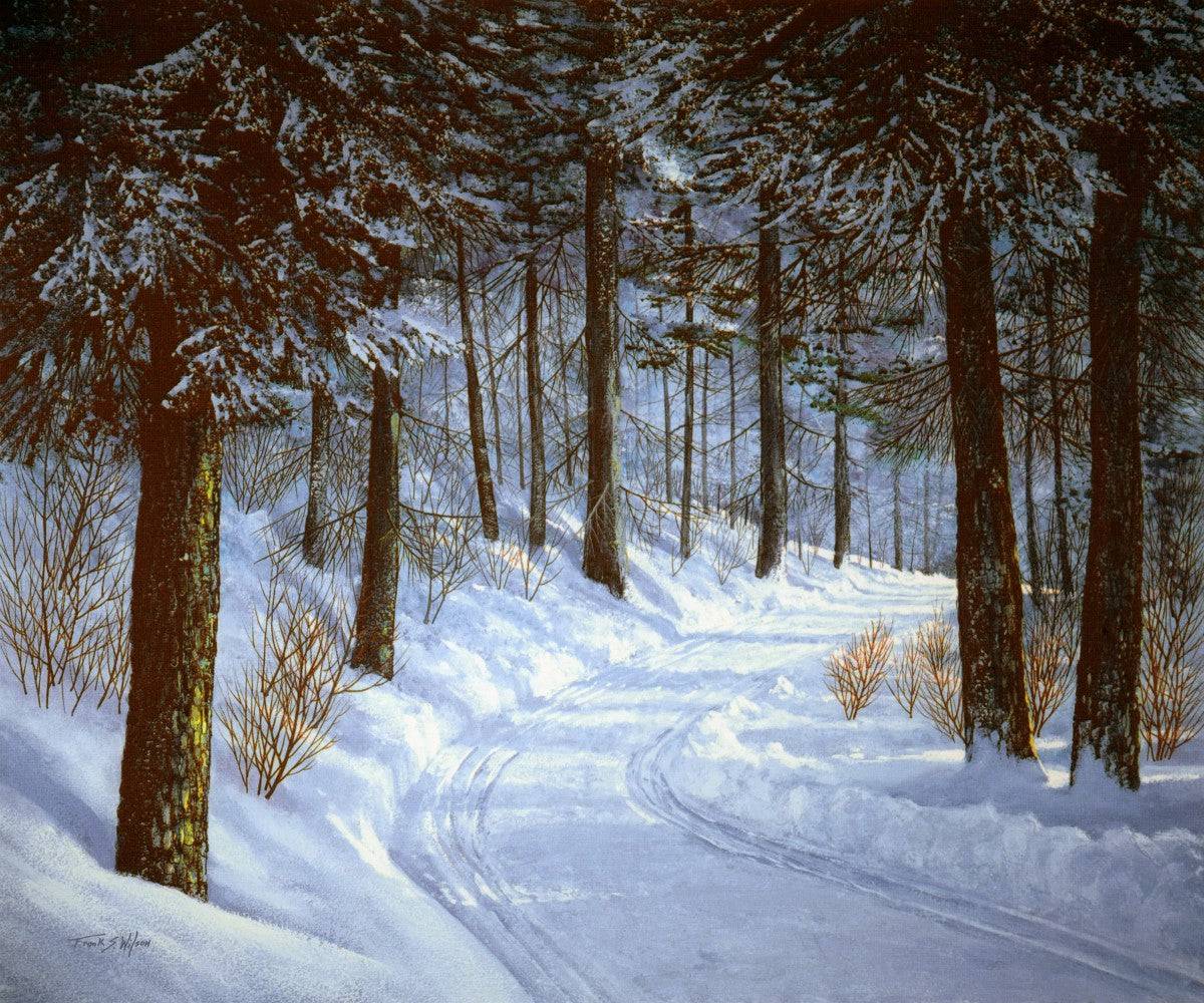 Forest Road - Powderaddicts