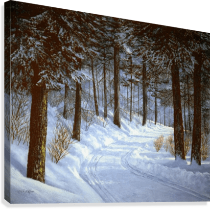 Forest Road - Powderaddicts