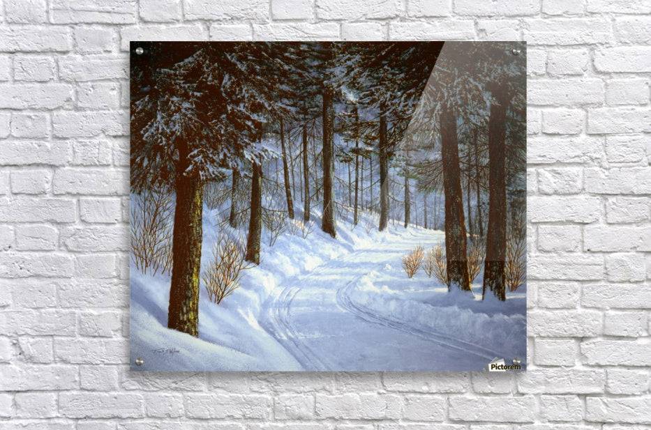 Forest Road - Powderaddicts