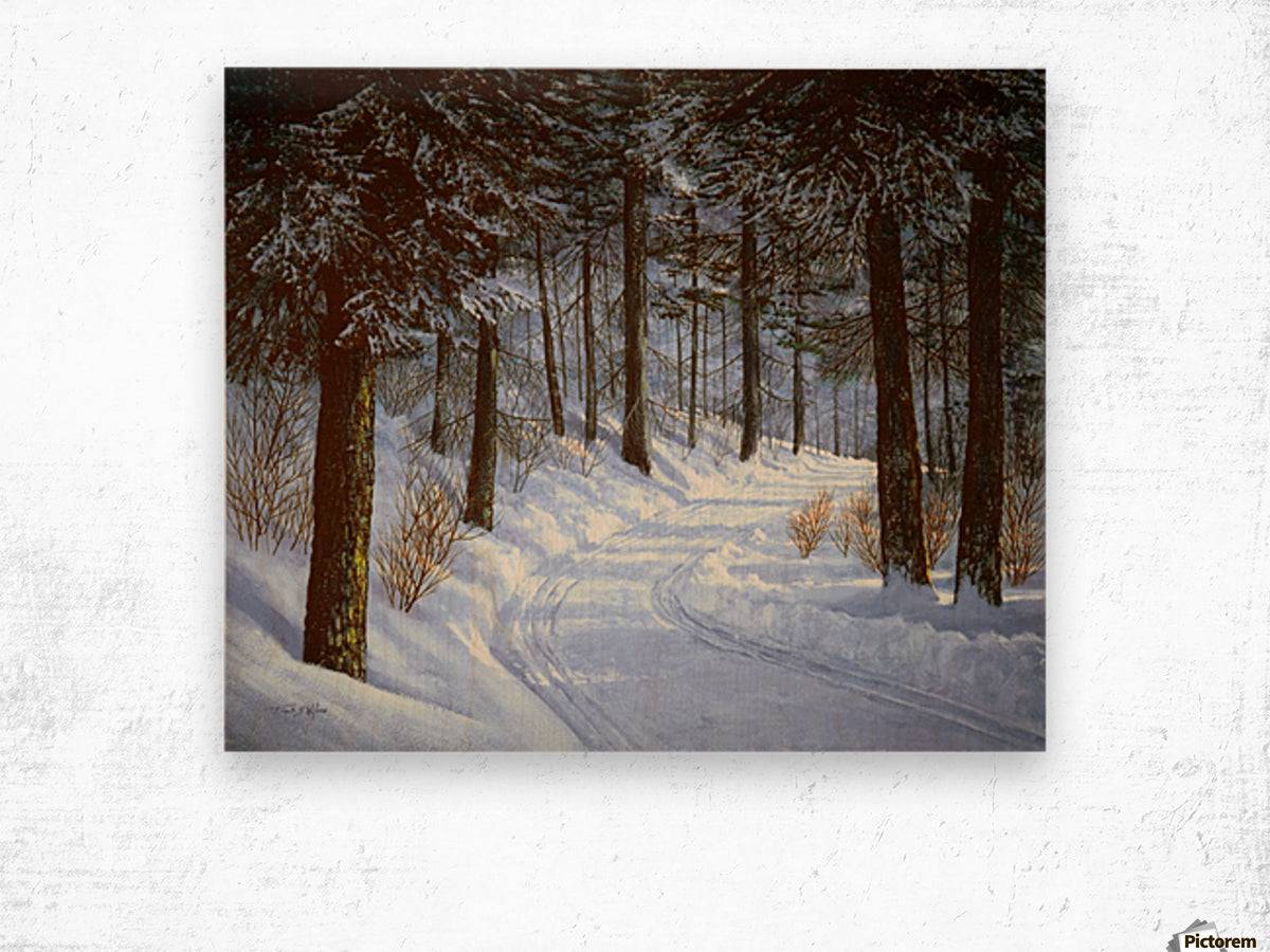 Forest Road - Powderaddicts