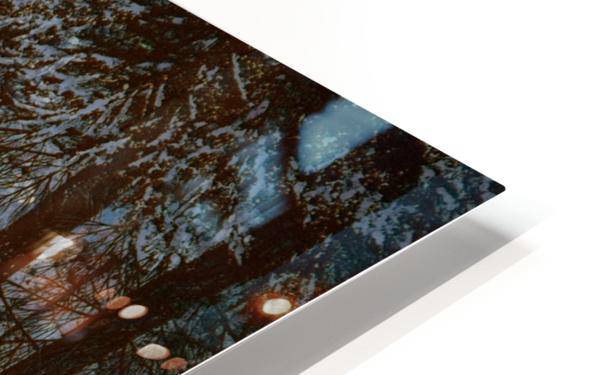 Forest Road - Powderaddicts