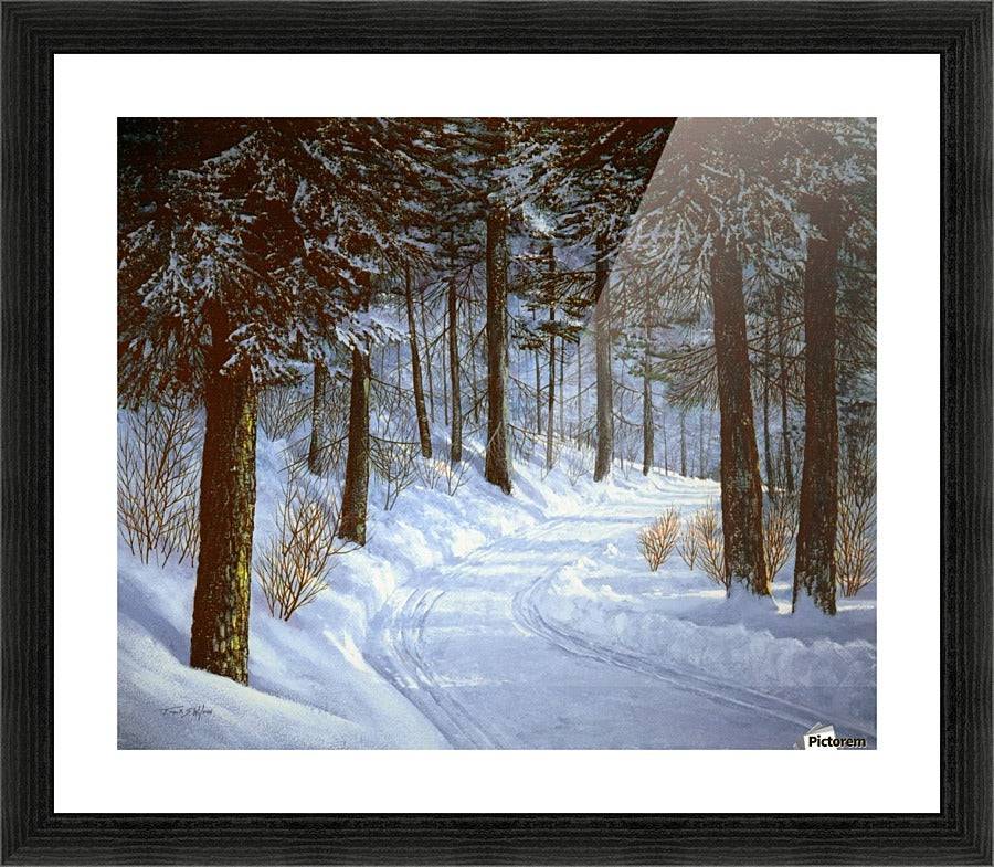 Forest Road - Powderaddicts