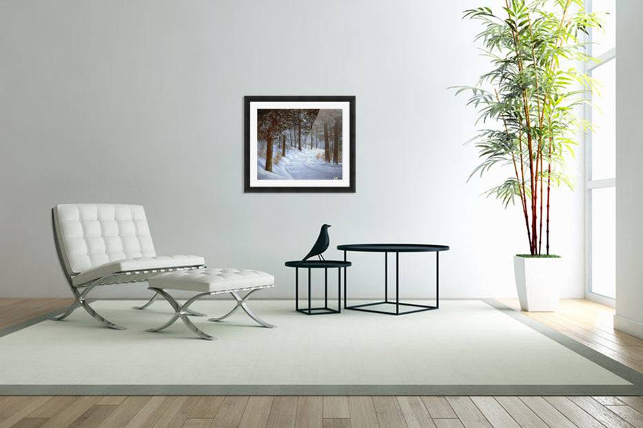 Forest Road - Powderaddicts