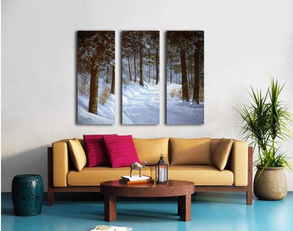 Forest Road - Powderaddicts