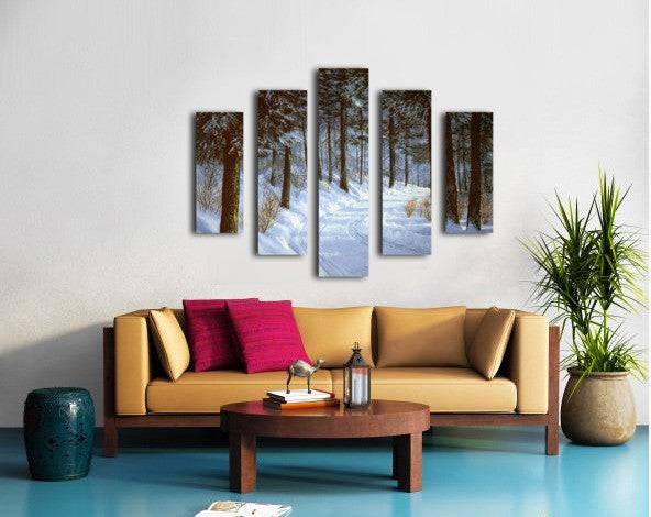 Forest Road - Powderaddicts