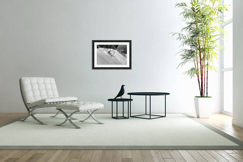 Freeride - Powderaddicts